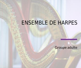 Ensemble de harpes, groupe adulte